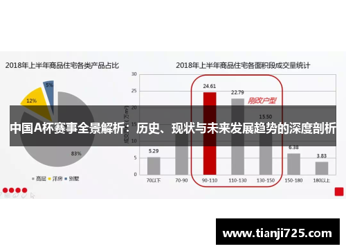 中国A杯赛事全景解析：历史、现状与未来发展趋势的深度剖析