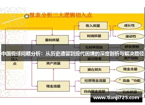 中国假球问题分析：从历史遗留到现代困境的深度剖析与解决路径