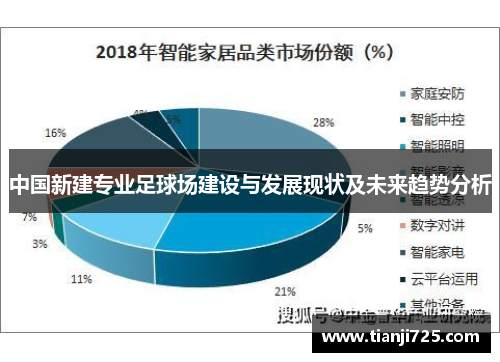 中国新建专业足球场建设与发展现状及未来趋势分析